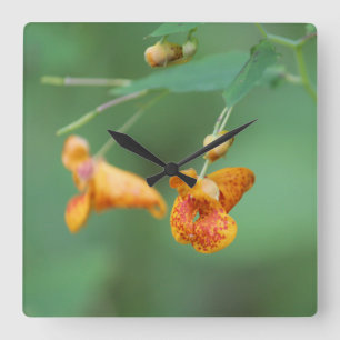 Decorative Orange Wildflower Square Wall Clock