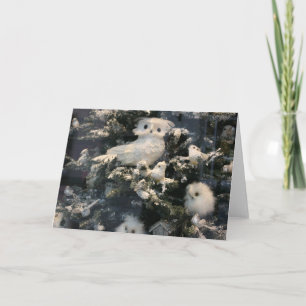 Decorative owl on christmas tree holiday card