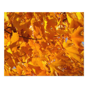 Decorative Photography art prints Golden Leaves
