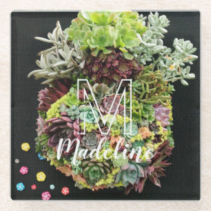 Decorative Succulents Glass Coaster