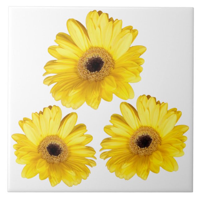 Decorative Three Yellow Gerber Daisy  Photos Ceramic Tile (Front)