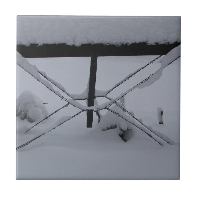 decorative tile (Front)