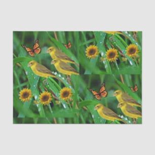 Decorative tissue paper birds