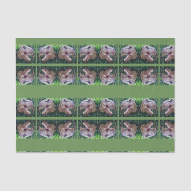 Decorative tissue paper Dinosaur (Front)