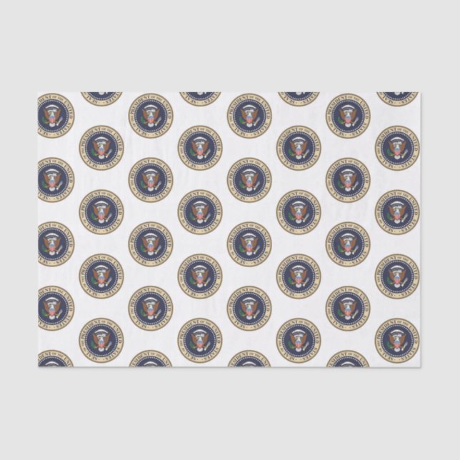 Decorative Tissue Paper President (Front)