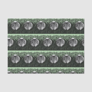 Decorative tissue paper Wolf