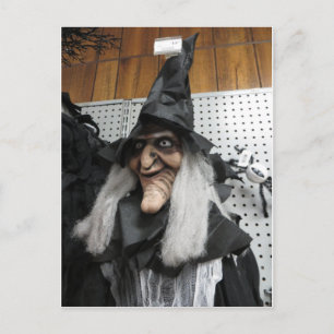 Decorative Witch Postcard