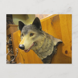 Decorative Wolf Head Postcard
