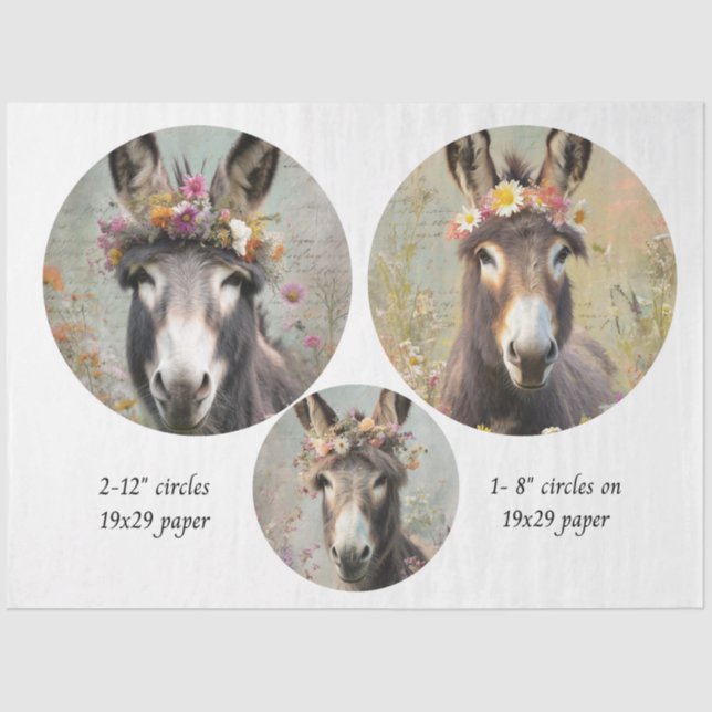 Decoupage 2-12" Circle & 8" Whimsical Donkey Trio Tissue Paper (Front)