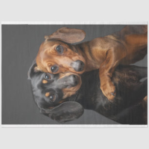 Decoupage 2 Dachshund Dogs Hugging  Tissue Paper
