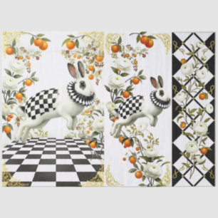Decoupage Curious Wonderland Tissue Paper