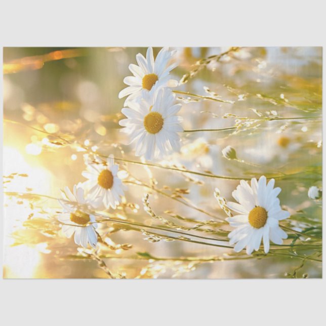 Decoupage Daisy Bright White & Yellow Field Flower Tissue Paper (Front)