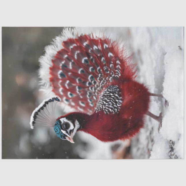 Decoupage Exotic Red Christmas Bird  Tissue Paper (Front)