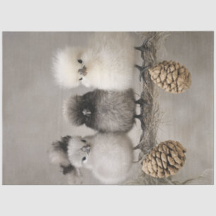 Decoupage Fluffy Chicks on a Branch  Tissue Paper