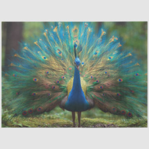 Decoupage Forestry Regal Peacock  Tissue Paper