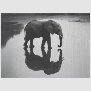 Decoupage Majestic African Elephant & Reflection  Tissue Paper