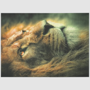 Decoupage Majestic Lion Profile Golden Glow  Tissue Paper