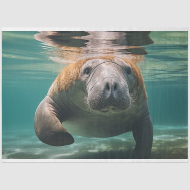 Decoupage Ocean Manatee Family  Tissue Paper (Front)