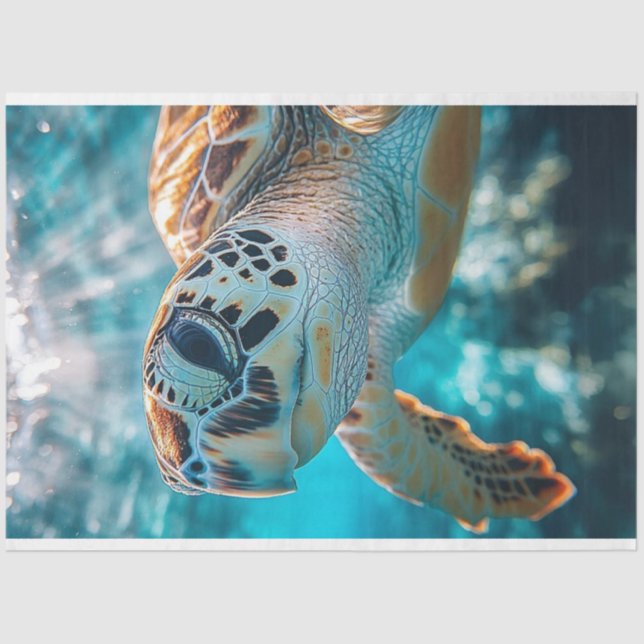 Decoupage Ocean Wildlife Fred the Mad Sea Turtle  Tissue Paper (Front)