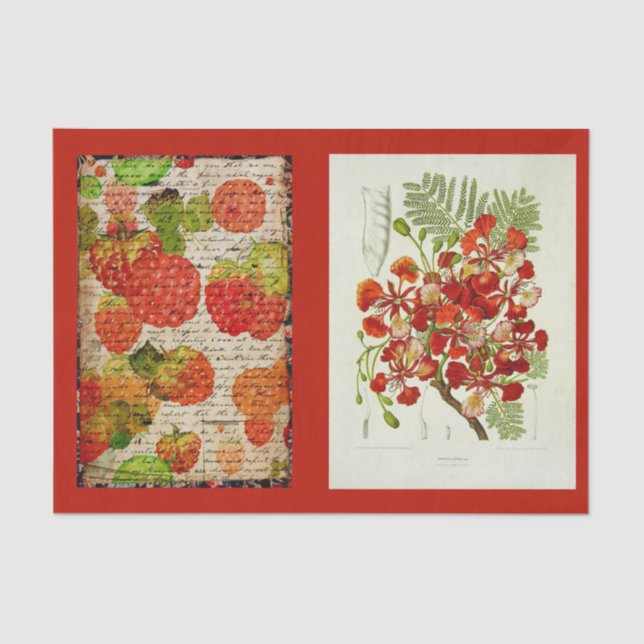 Decoupage Paper 10"x15" - Botanical Art 53 (Front)