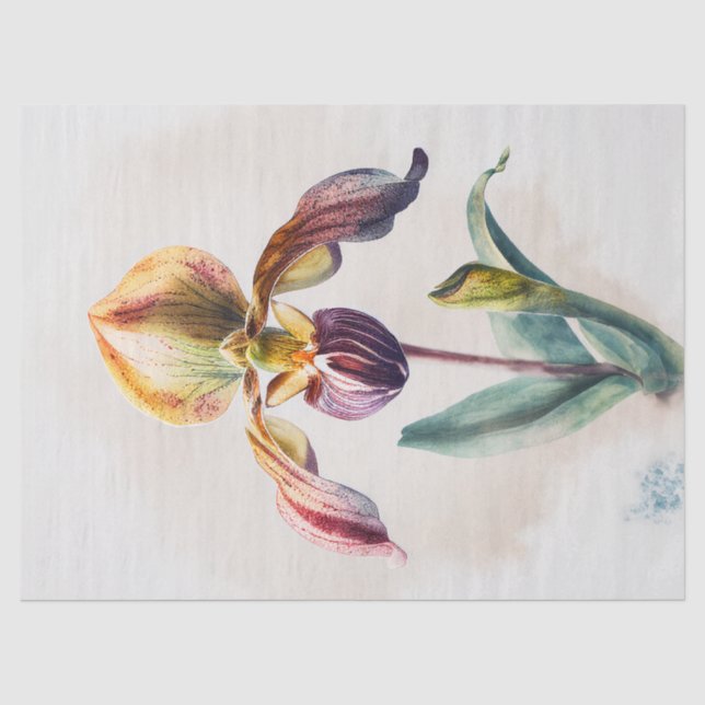 Decoupage Paper, Wrapping, - Blooming Splendour 1 Tissue Paper (Front)