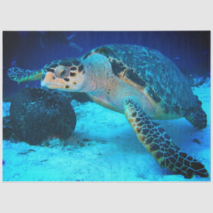 Decoupage Sea Turtle Tissue Paper