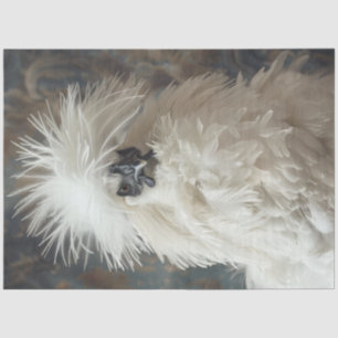 Decoupage Silkie Showgirl Chicken White Feathers Tissue Paper