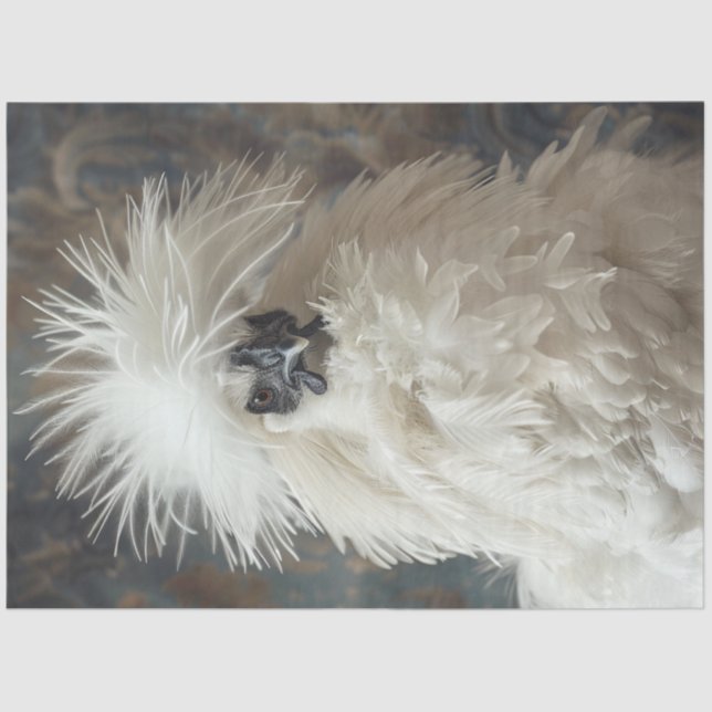 Decoupage Silkie Showgirl Chicken White Feathers Tissue Paper (Front)