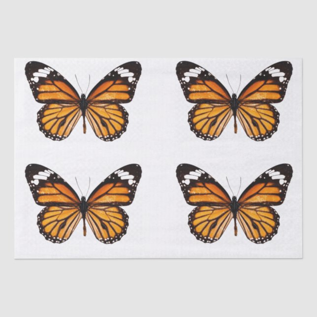 DECOUPAGE TISSUE PAPER : MONARCH BUTTERFLY (Front)