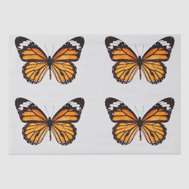 DECOUPAGE TISSUE PAPER : MONARCH BUTTERFLY (Front)