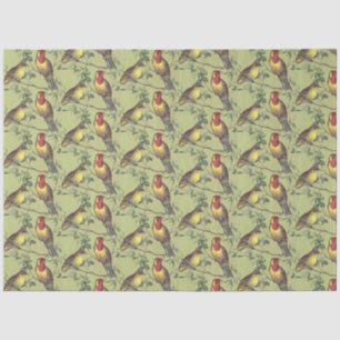Decoupage Two Colourful Birds on Light Green  Tissue Paper