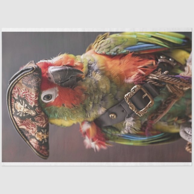 Decoupage Whimsical Pirate Conure Parrot Tissue Paper (Front)