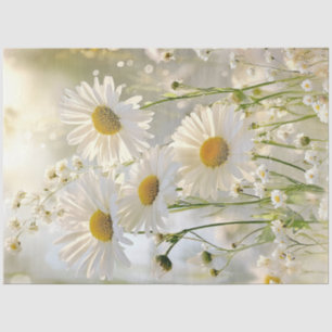 Decoupage White Daisies Natural Setting  Tissue Paper