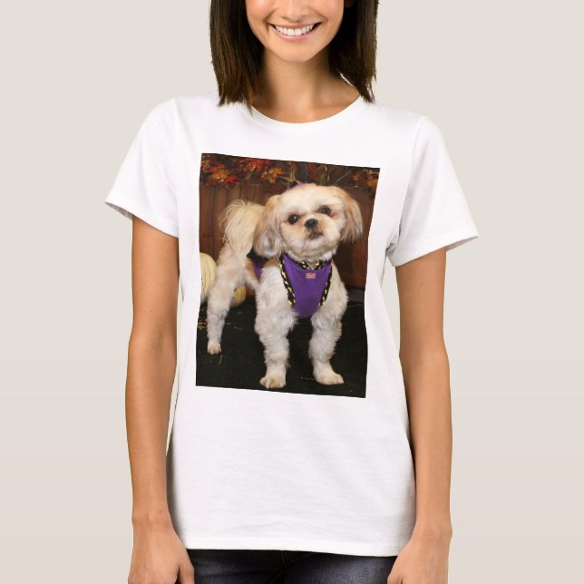 DeeDee -ShihTzu-Photo 3 T-Shirt (Front)