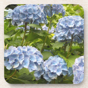 Deep Blue Hydrangeas Coaster