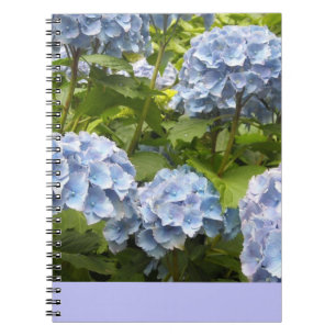 Deep Blue Hydrangeas Notebook