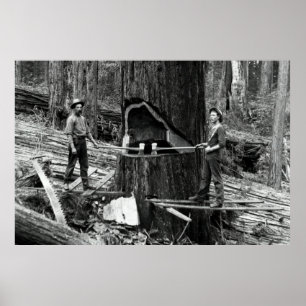 DEEP FOREST LUMBERJACKS c. 1890 Poster