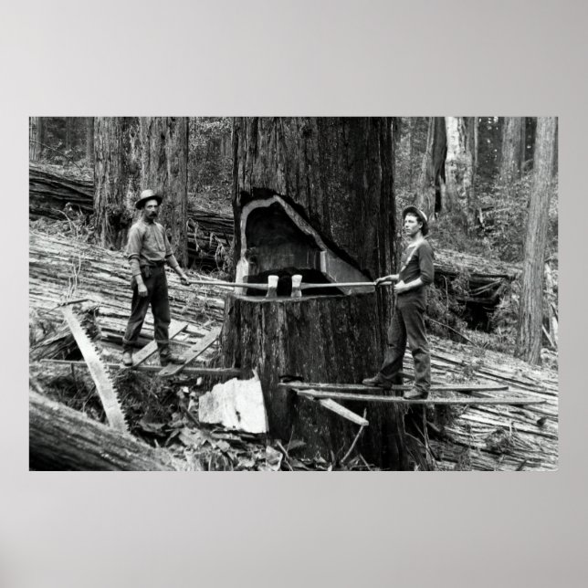 DEEP FOREST LUMBERJACKS c. 1890 Poster (Front)