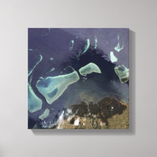 Deep green forest on land canvas print