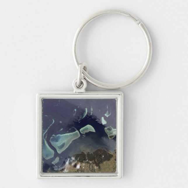 Deep green forest on land key ring (Front)