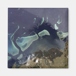 Deep green forest on land magnet