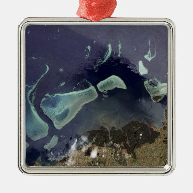 Deep green forest on land metal ornament (Front)