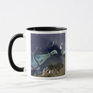 Deep green forest on land mug