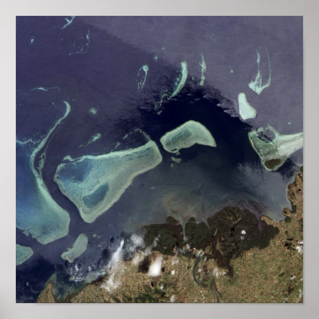 Deep green forest on land poster (Front)