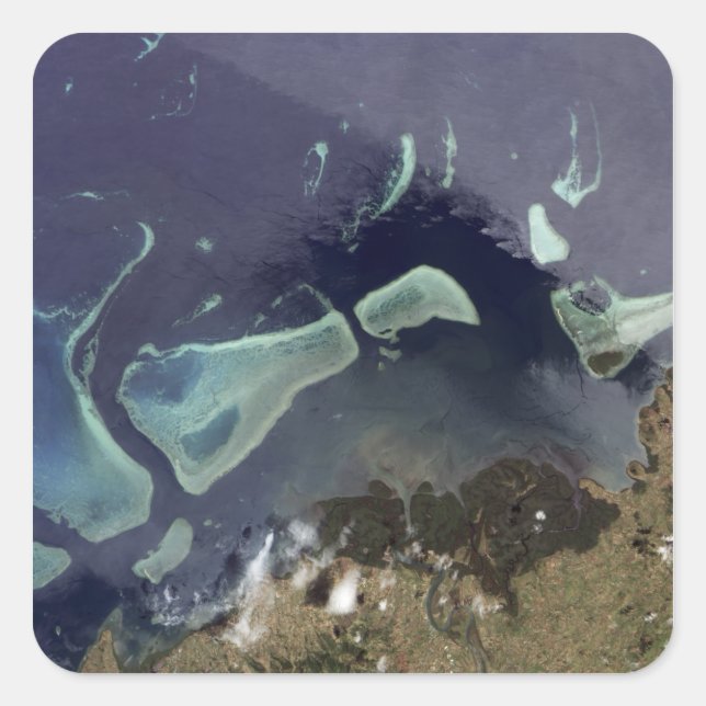 Deep green forest on land square sticker (Front)