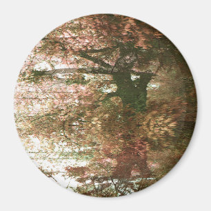 Deep in the Forest... Magnet