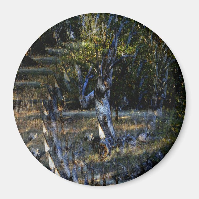 Deep in the Forest....... Magnet (Front)