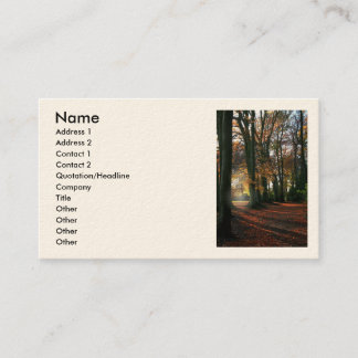 Deep In The Heart Business/Profile Cards