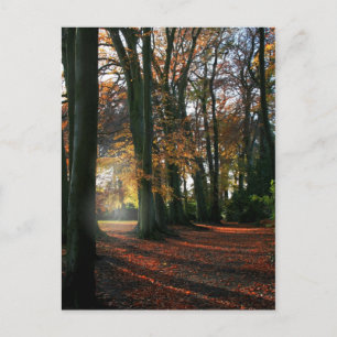 Deep In The Heart Postcard