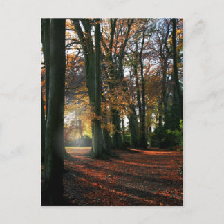 Deep In The Heart Postcard